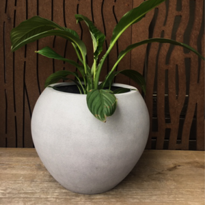 Evie Pot Grey